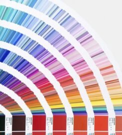 Carpapel S.A. de C.V.