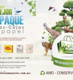 BOLSA ANUNCIOS S.A. DE C.V.