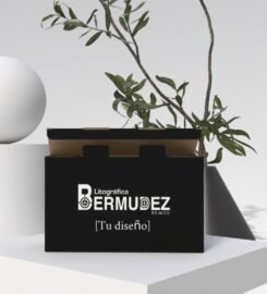 Litográfica Bermúdez